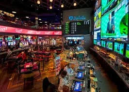 bets55 Terms and Conditions for Your bets55 Account